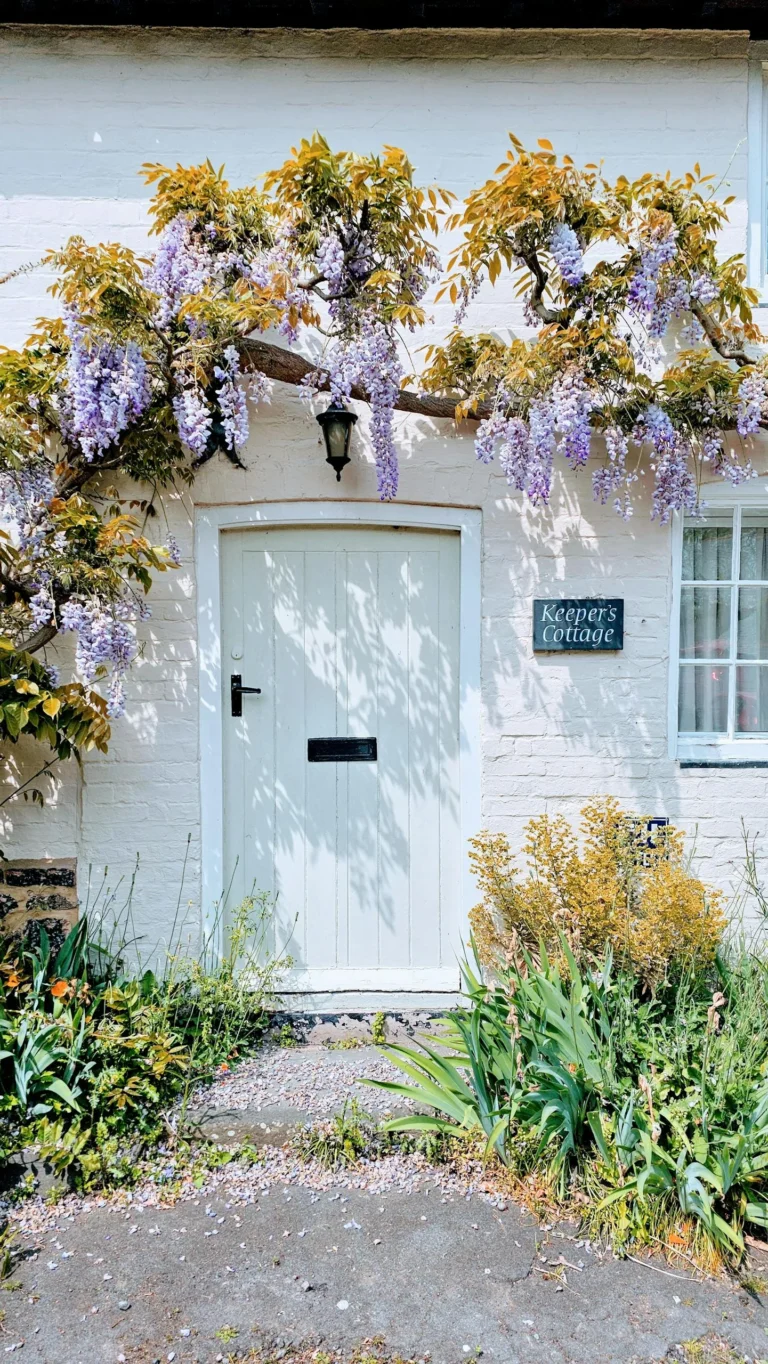 Charming white cottage with a blue door and lush wisteria, perfect for a peaceful weekend rest.
